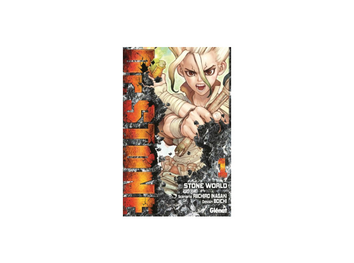 Collection Manga Dr Stone Tome 1 à 22 occasion - manga story versailles