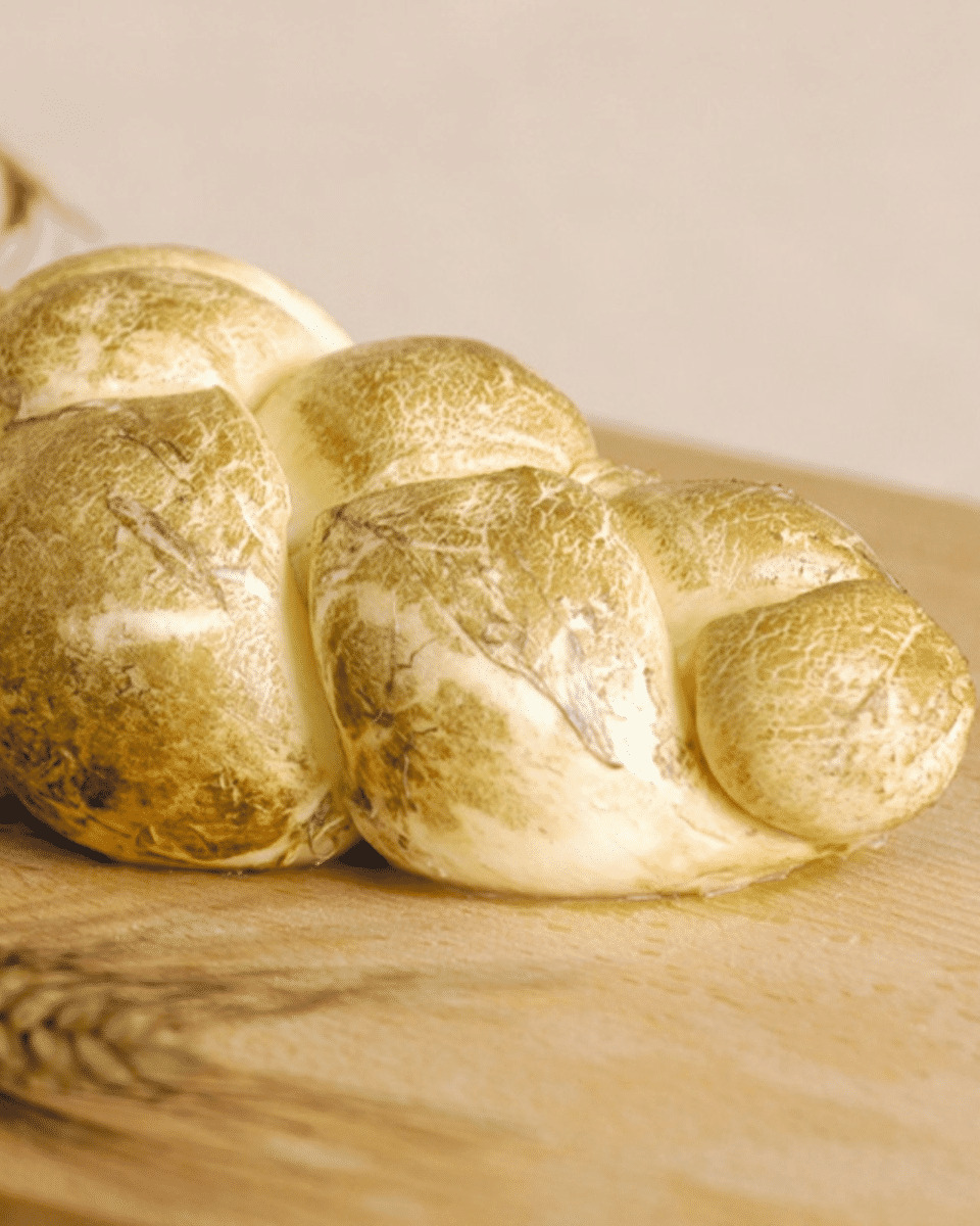 Sélection de Mozzarella, lait de bufflonne