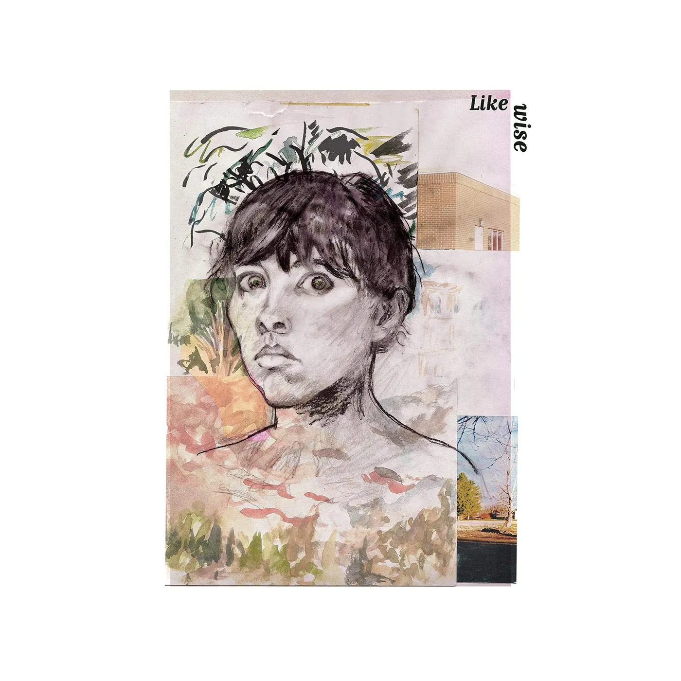 Vinyle Frances Quinlan - Likewise (2020)