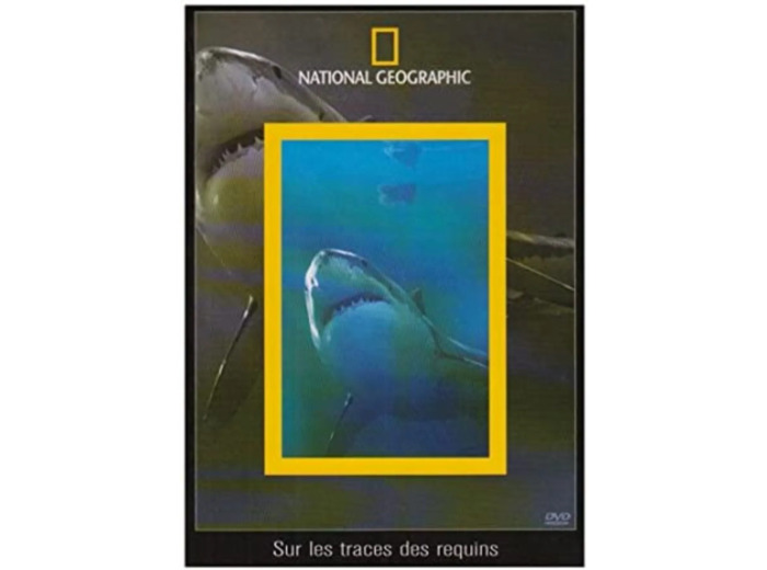 Dvd National Geographic : Sur les traces des requins