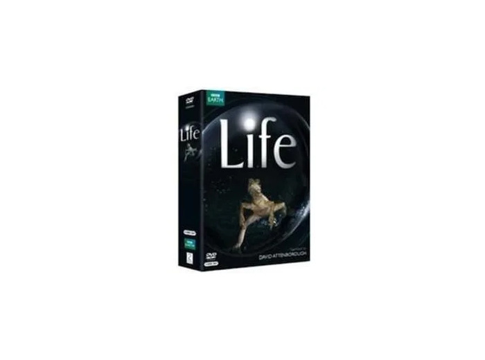 Dvd Life
