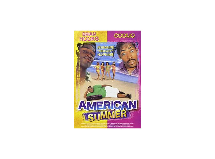 Dvd American Summer