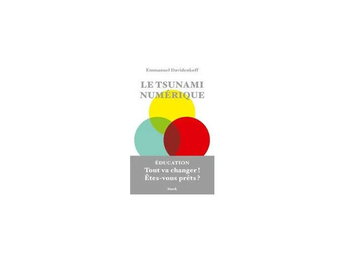 Livre Le Tsunami Numérique