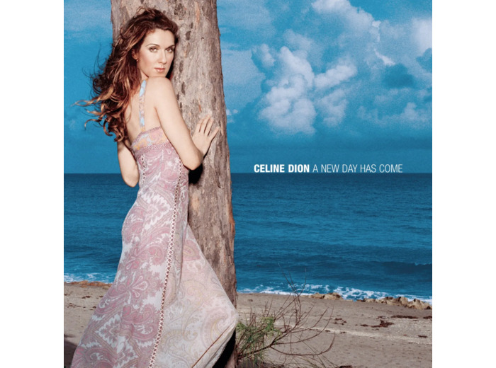 Cd Céline Dion - A New Day Has Come (2002)