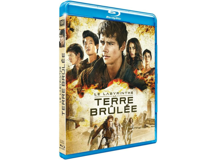 Blu-Ray Le Labyrinthe : La Terre Brûlée - Blu - ray + Digital HD