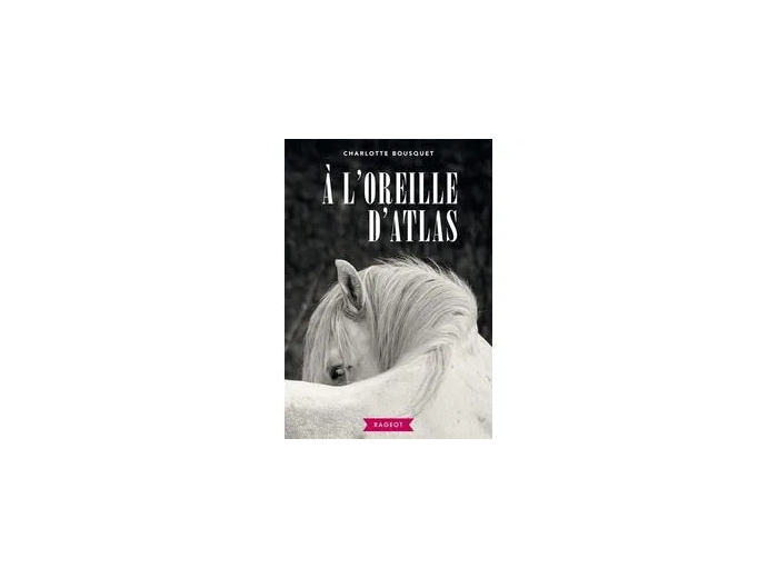 Livre A L'oreille D'atlas
