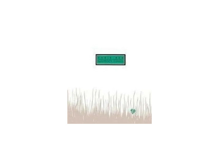 Cd Chris Rea – Shamrock Diaries