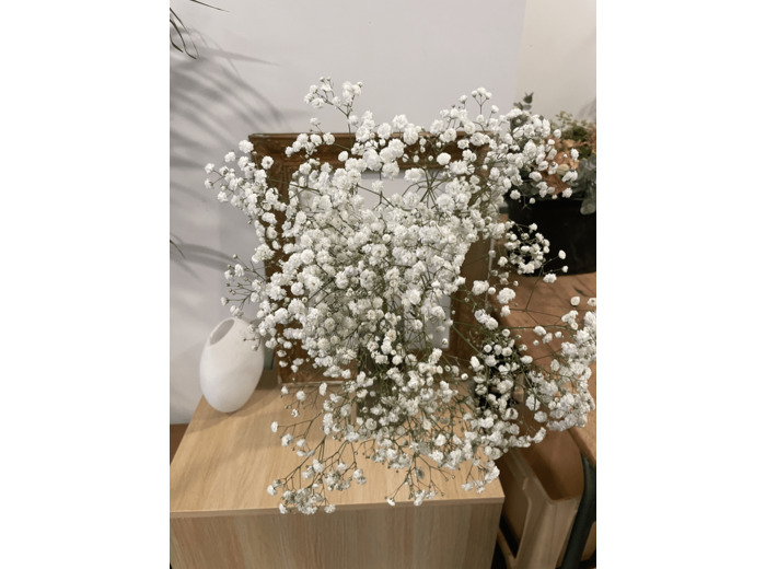 Botte de Gypsophile blanc