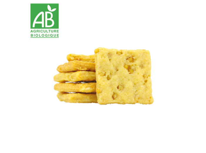 Gros sel de Guérande - 50g