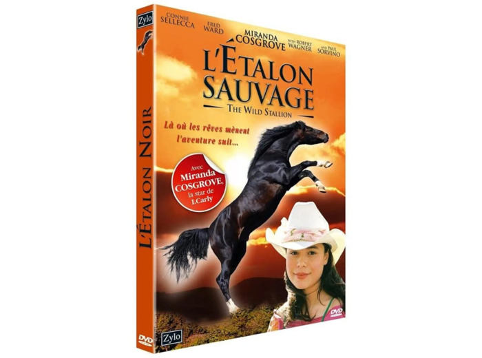 Dvd L'Étalon Sauvage
