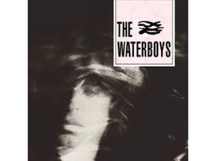 Cd Waterboys Waterboys