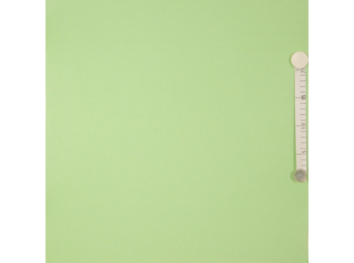 Fibre Mood - Tissu Jersey Bord-Cotes Uni Couleur Vert Amande