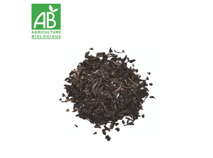 Thé Noir Fumé Lapsang Souchong
