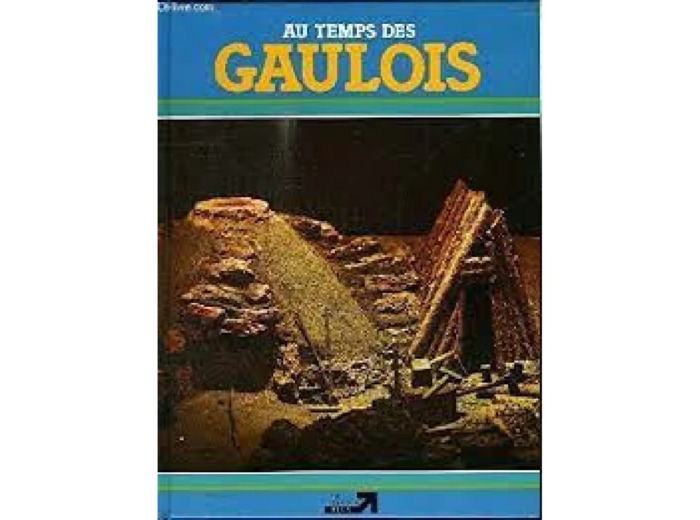 Livre Les Celtes : Au Temps Des Gaulois - Nougier, Louis-René