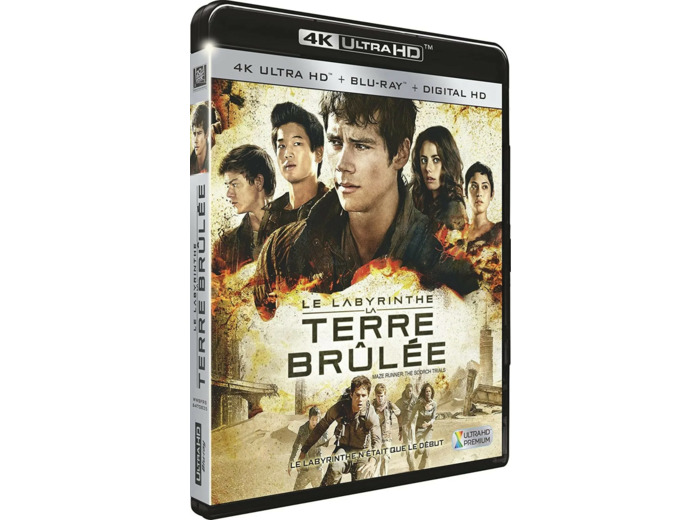 Blu-Ray Le Labyrinthe : La Terre Brûlée