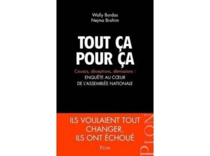 Livre Tout Ça Pour Ça - Couacs, Déceptions, Démissions : Enquête Au Coeur De L'assemblée Nationale