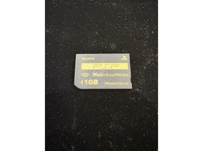 Sony Memory Stick Pro Duo 1 Go