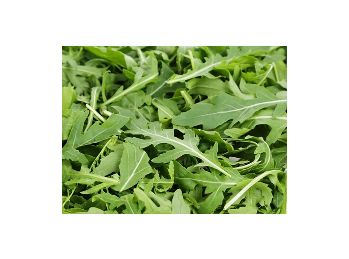 Roquette 🇫🇷