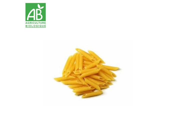 Pennes - 100g