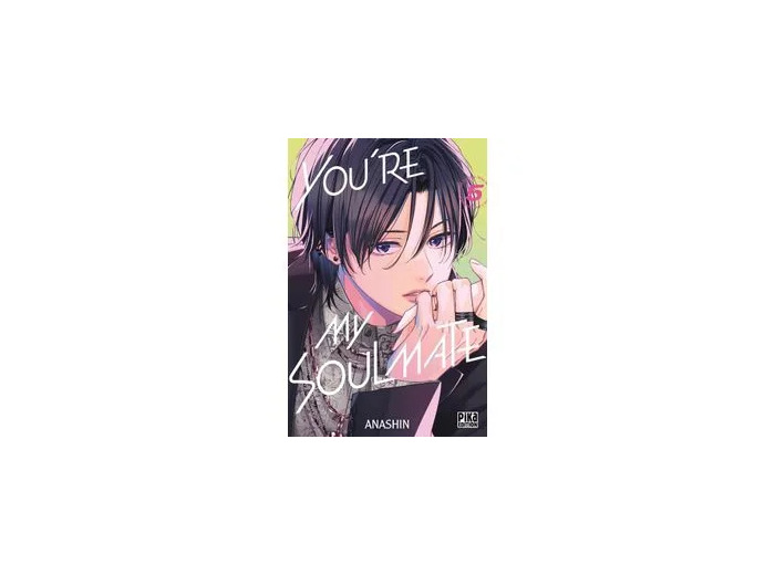 Livre You're my Soulmate - Tome 5
