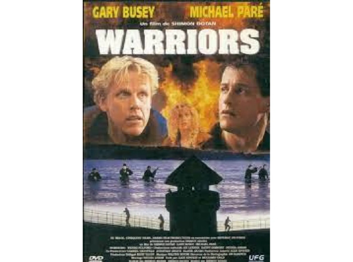 Dvd Warriors