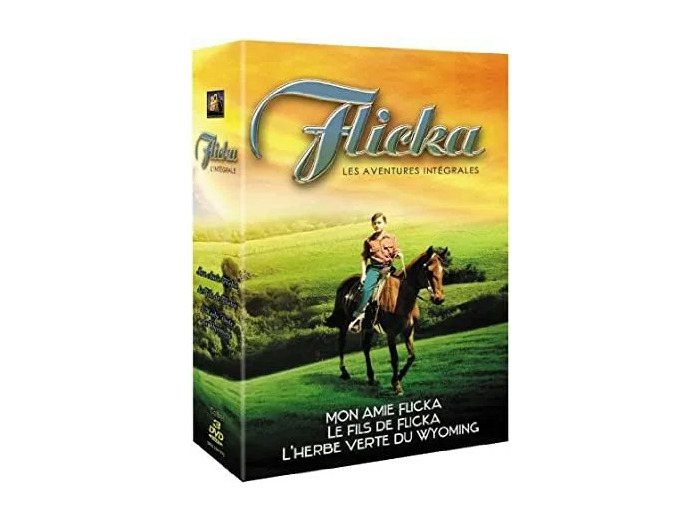 Dvd Coffret Flicka