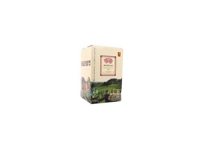 Fontaine a Vin AOC Bourgueil Dom. des Geléries 5L