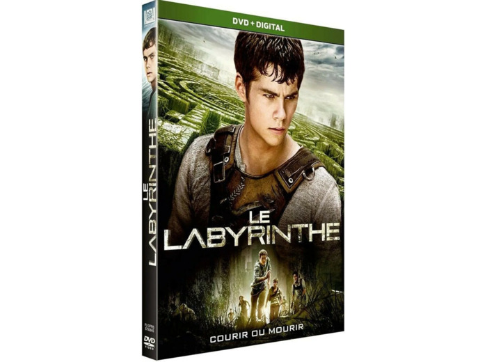 Dvd Le Labyrinthe