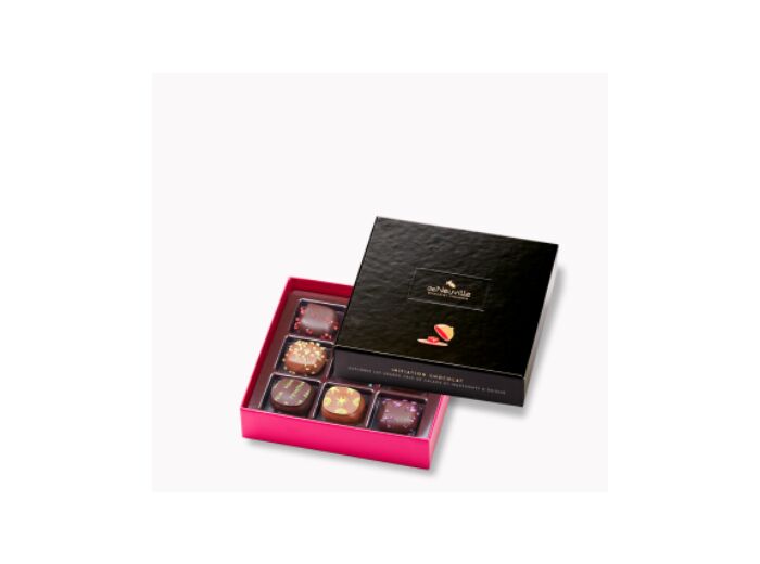 Coffret Initiation 9 chocolats noirs et lait 90g net - Collection Initiation Chocolat