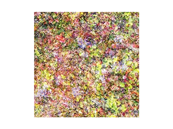 Vinyle Le Loup - Family (2009)