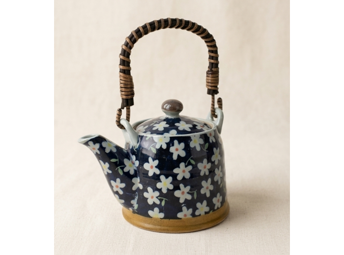 THÉIÈRE JAPONAISE MINOYAKI 0.35L - MIZUTAMA KOBANA