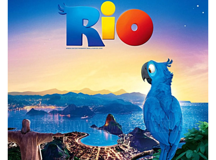 Dvd Rio