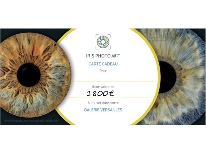 Carte cadeau 1800€