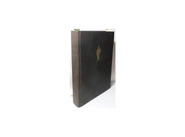 Livre L'aliéniste