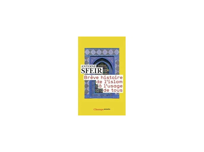 Livre Brève histoire de l'islam à l'usage de tous