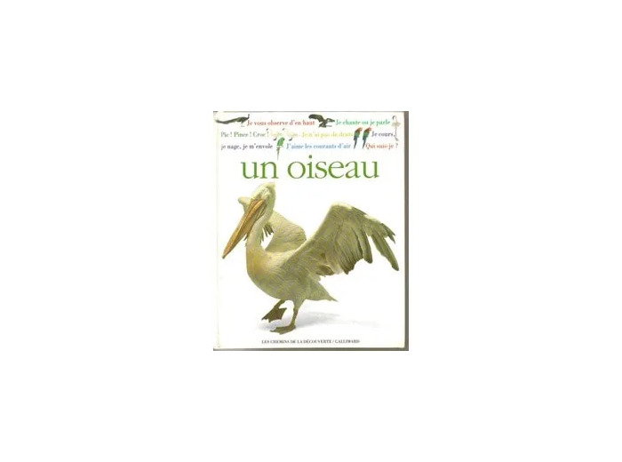 Livre Qui suis - je ? un oiseau