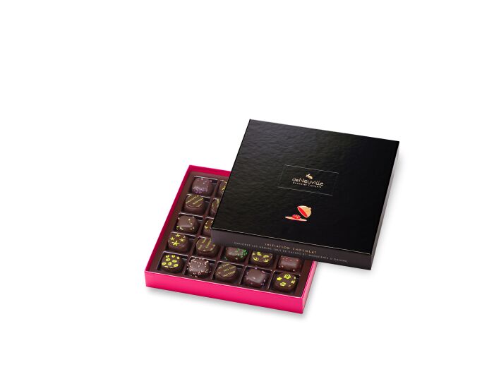 Coffret Initiation 25 chocolats noirs 250g - Collection Initiation Chocolat