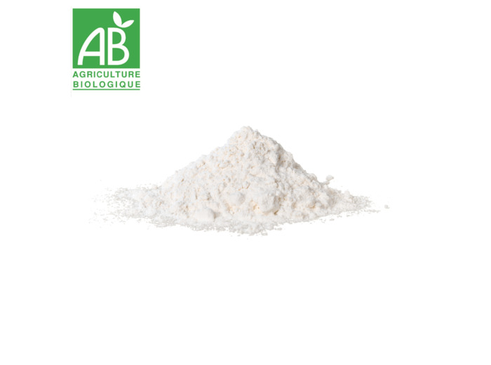 Farine de pois chiches - 100g