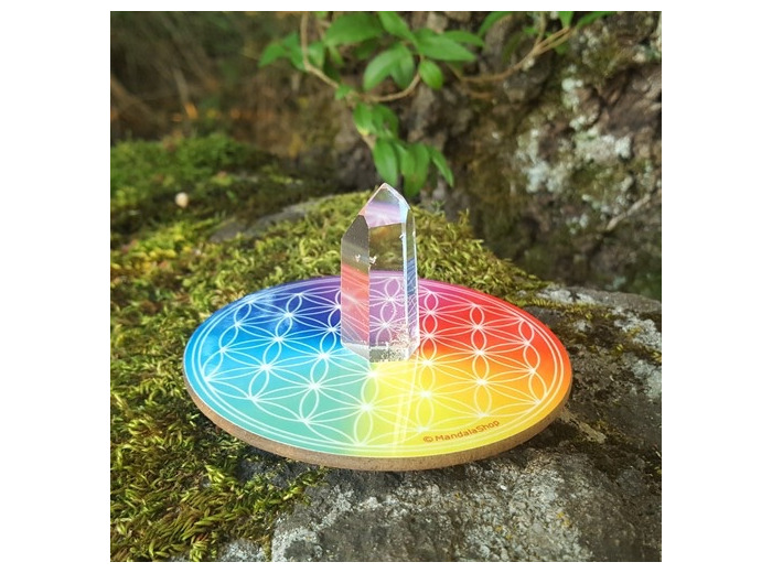 Disque harmonisant fleur de vie 7 rayons
