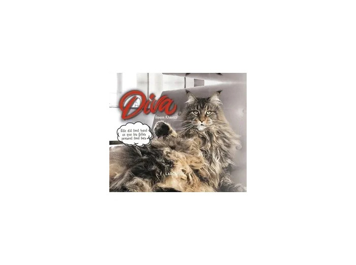 Livre Diva