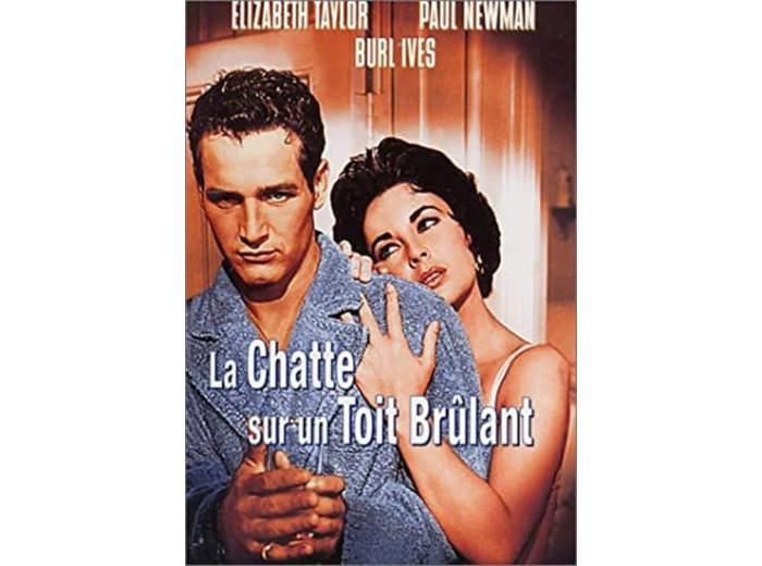 Dvd La Chatte sur un toit brûlant