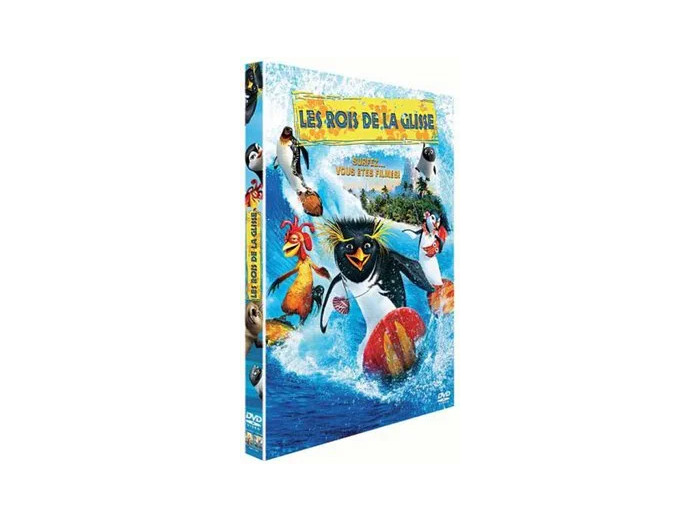 Dvd Les Rois de la Glisse