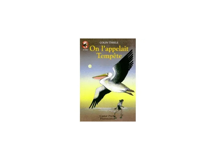 Livre On L'appelait Tempête
