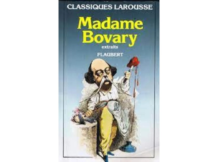 Livre Madame Bovary