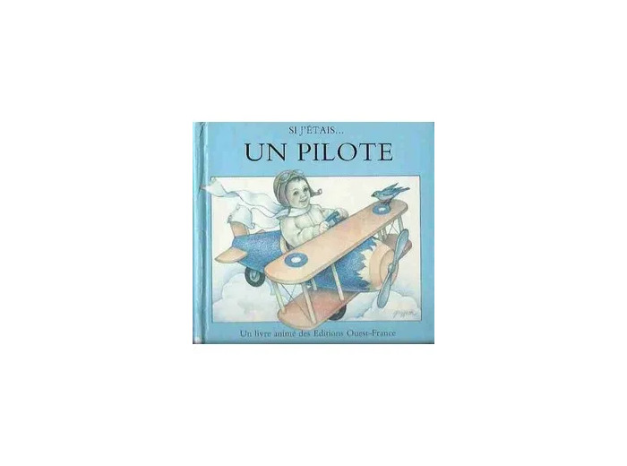 Livre Si J'étais - Tome 3 - Si J'étais Un Pilote