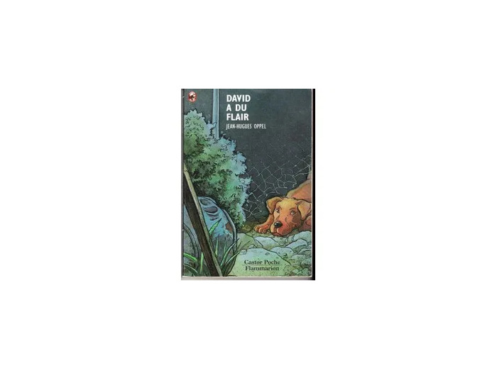 Livre David A Du Flair