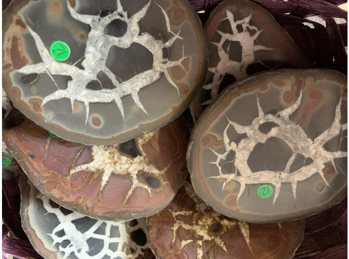 Septaria Maroc