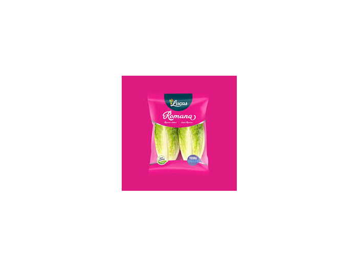 Salade Romaine 🇪🇸