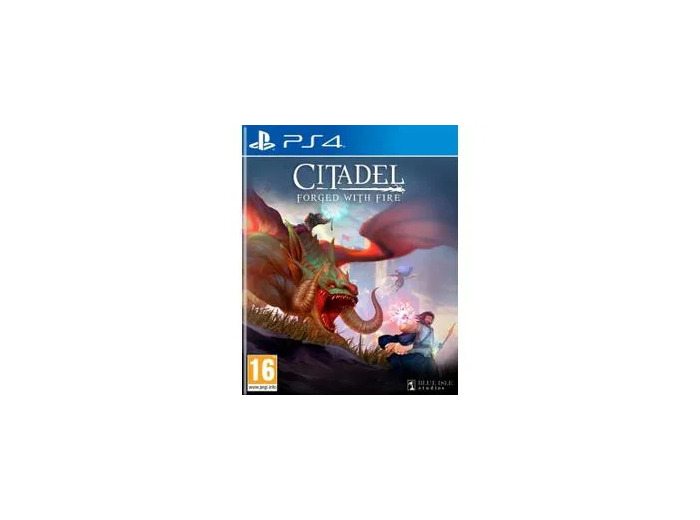 Jeu PS4 Citadel Forged With Fire PS4