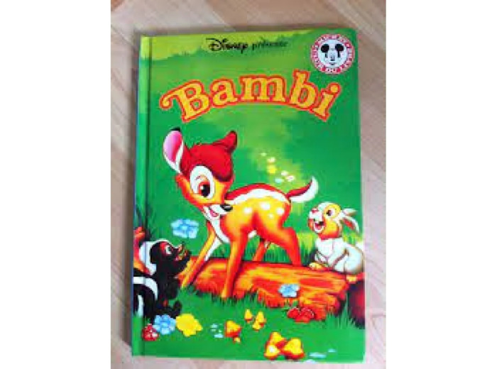 Livre Bambi